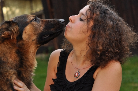 Curly girl dog breed Photo