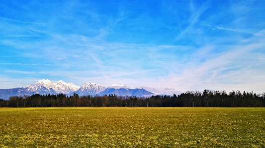 Nature snow mountain trees Photo