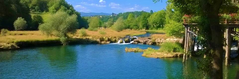 Rivière nature vert eau