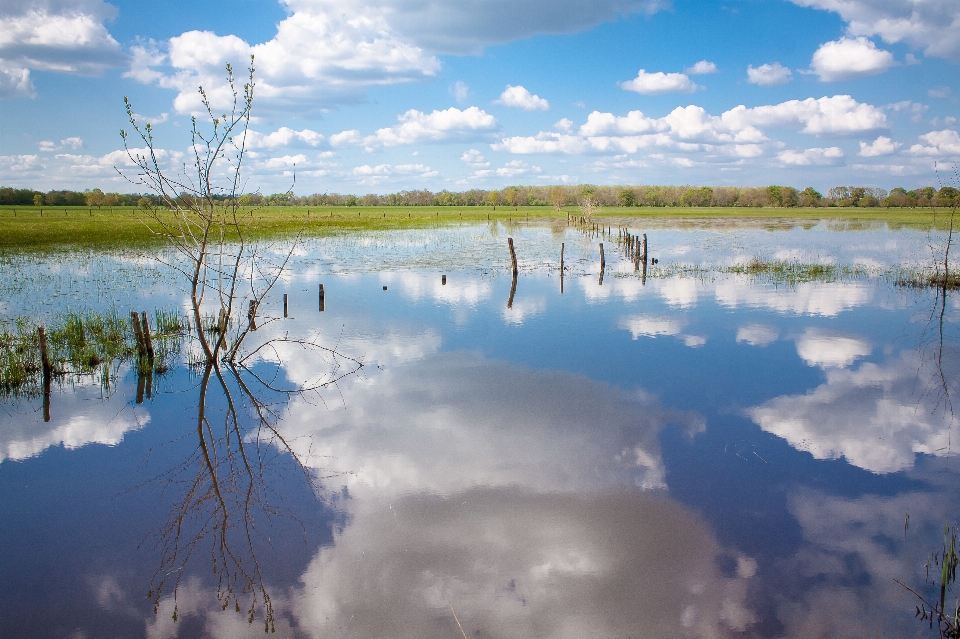 Angers flood wetland landscape