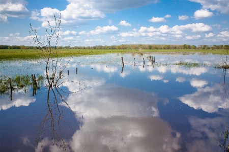 Angers flood wetland landscape Photo