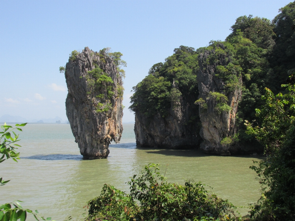 Thailande
 végétation réserve naturelle
 rock