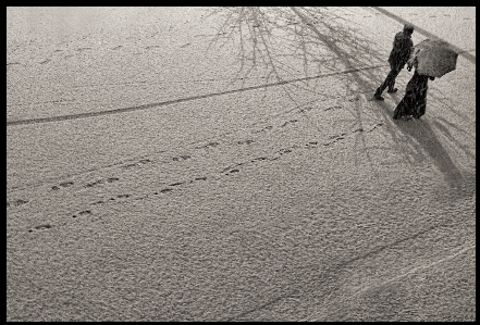 Snow fresh couple black Photo