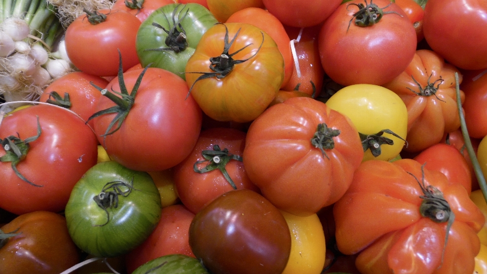 Tomate vermelho verde volume