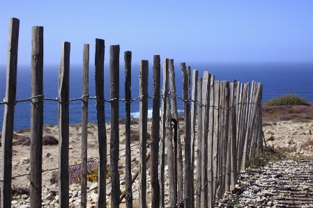 Barrier wood sea beach Photo