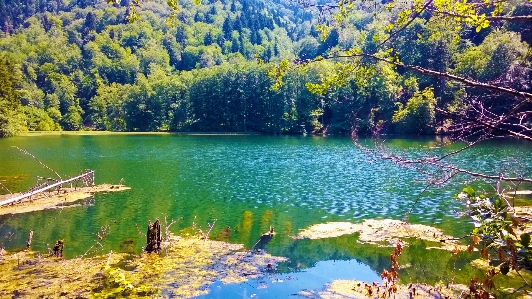 Georgia water nature reflection Photo