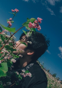 美しい 花 自然 空 写真