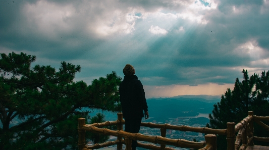 空 クラウド 木 自然 写真