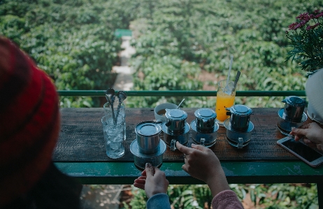 景观 自然的 太阳 阳光 照片