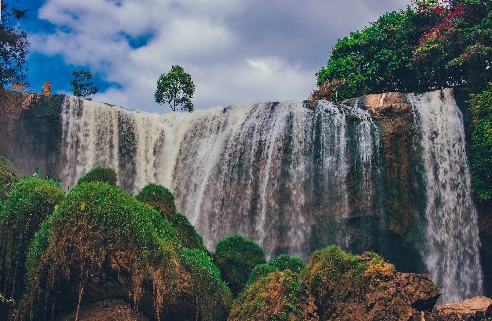 Landscape natural tree waterfall