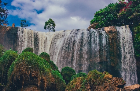 Landscape natural tree waterfall Photo