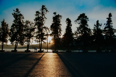 Landscape natural tree sky Photo