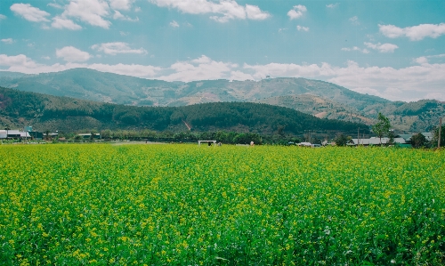 Landscape natural green grassland Photo