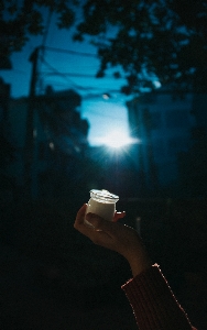 景观 自然的 黑暗 夜晚 照片