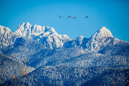 Kar doruğa ulaşmak kaz kış Fotoğraf