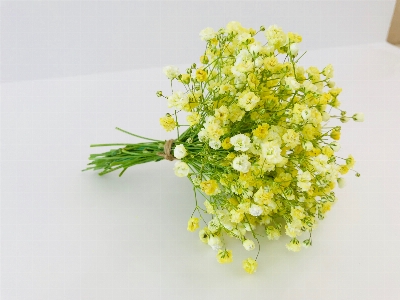 Flower bouquet plant cut flowers Photo