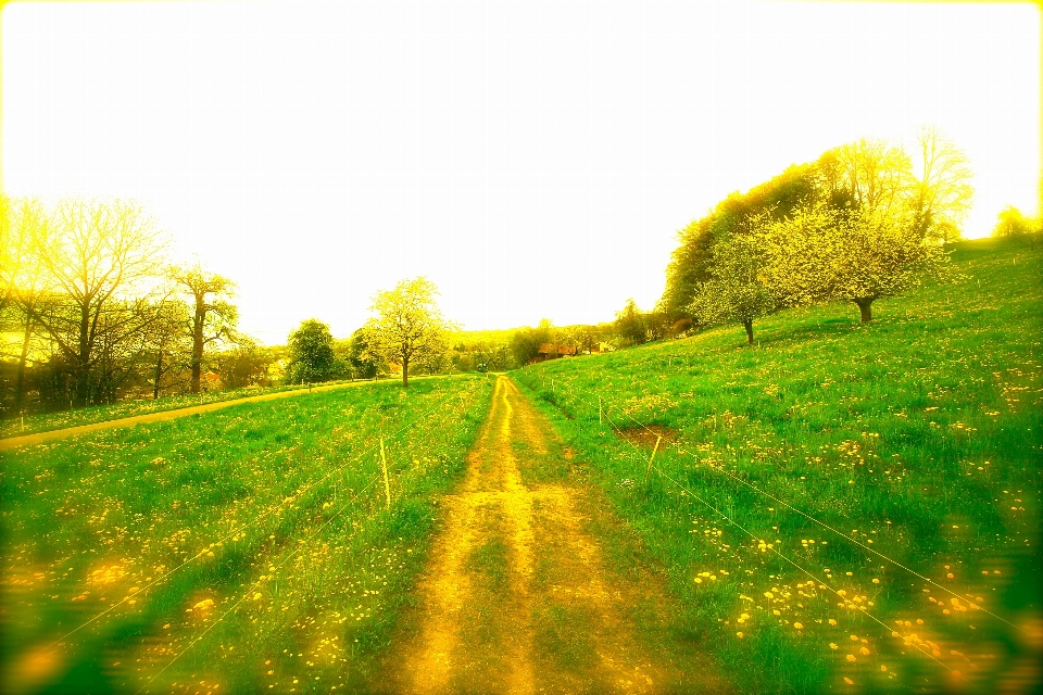 Natur natürliche landschaft
 menschen in der natur
 grün