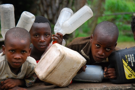 Guinea child temple tree Photo