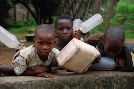 Guinea child tree plant Photo