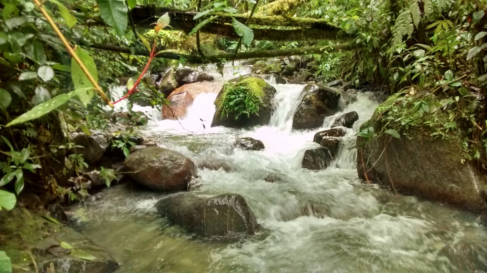 Rivière eau cascade frais