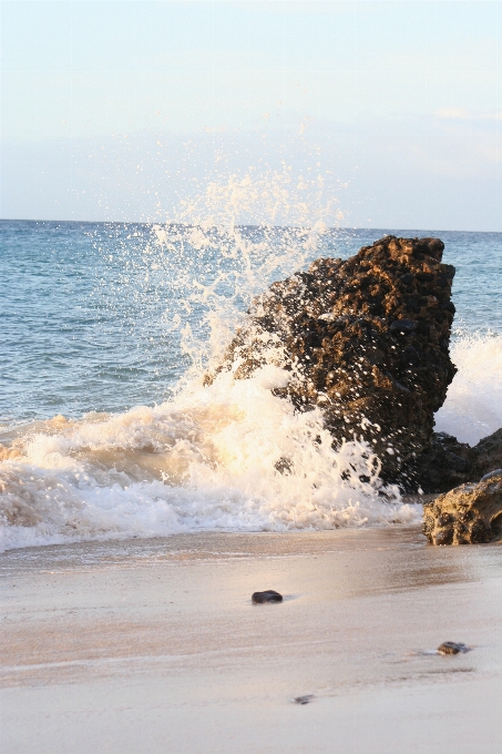 海滩 海 水体 支撑