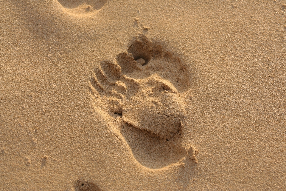 Strand sand fußabdruck geologie