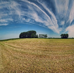 Foto Belanda langit awan padang rumput
