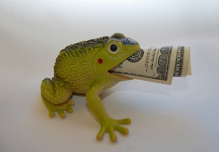 Frog finances wealth capital Photo