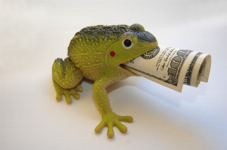 Frog finances wealth capital Photo