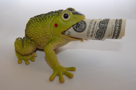 Frog finances wealth capital Photo