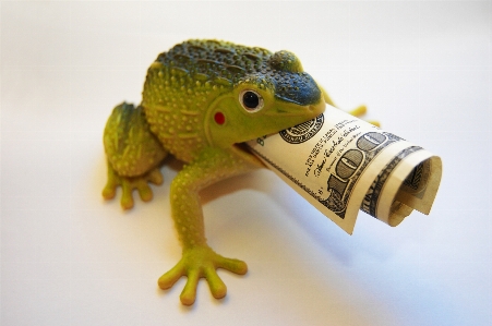 Frog finances wealth capital Photo