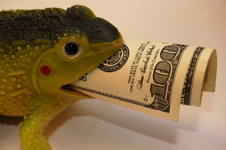 Frog finances wealth capital Photo