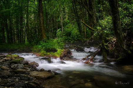 自然 stream 水 クリーク
 写真