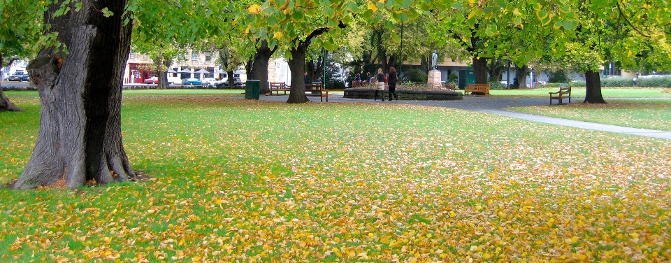 Autumn green gold landscape