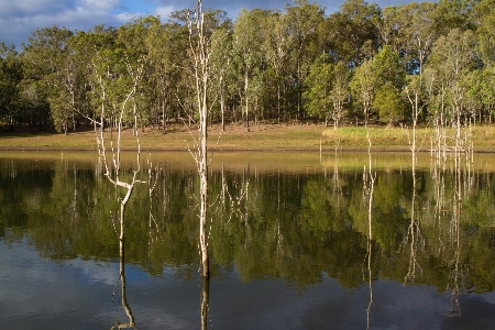 Landscape lake clouds trees Photo