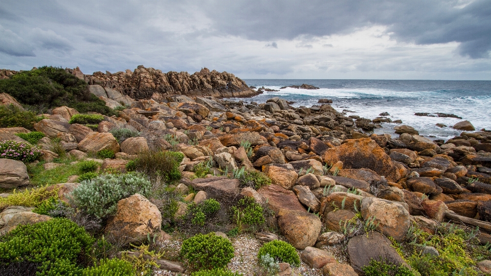 Landscape stormy beach ocean