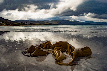 Beach ocean travel sand Photo