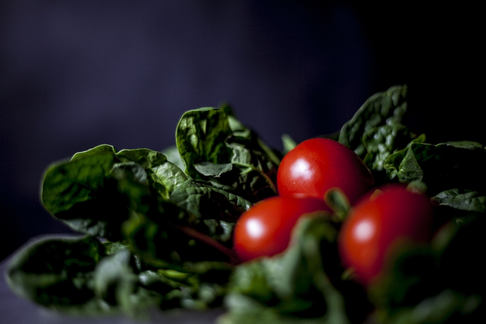 Fresh nature tomatoes green leaves