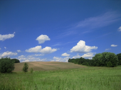 Landscape ukraine nature field Photo