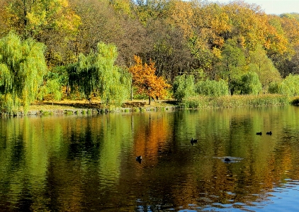 Autumn landscape kiev ukraine Photo