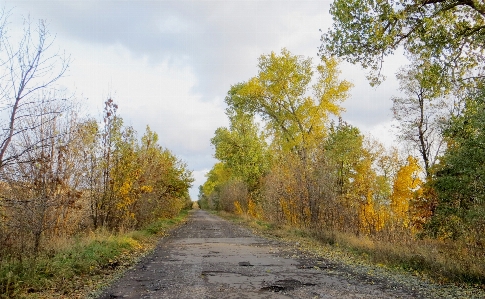 Old road autumn sky Photo