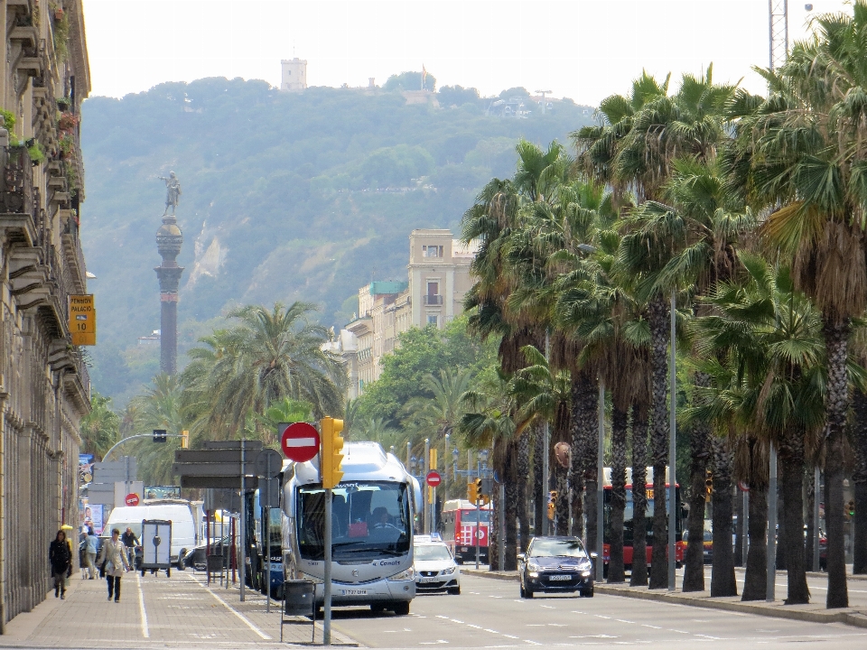 Città traffico autobus trasporto pubblico
