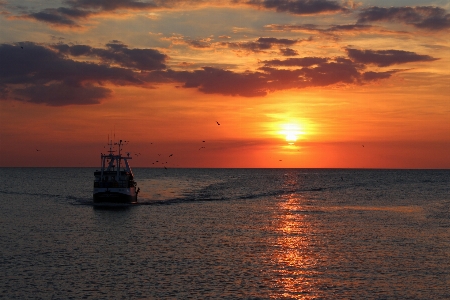 Sun horizon sea sunset Photo