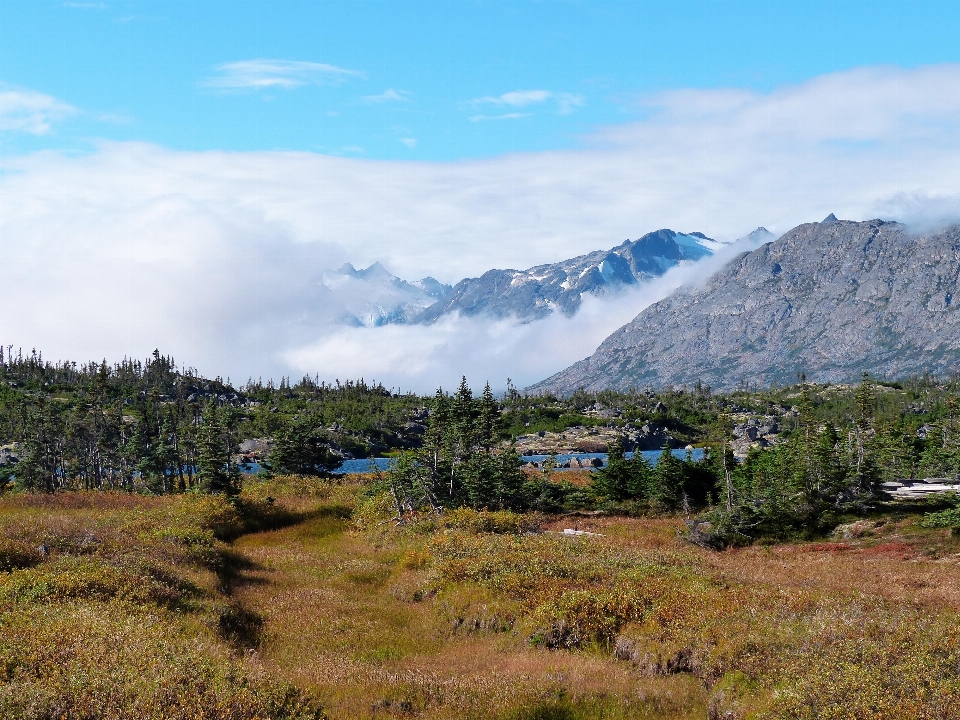 Alaska région sauvage
 montagnes montagne