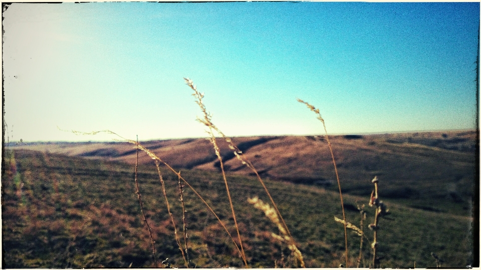 Nature sky field horizon