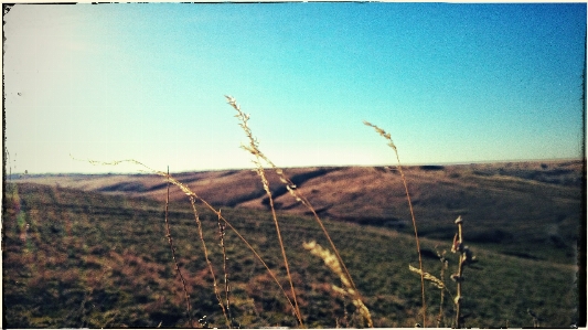 Nature sky field horizon Photo