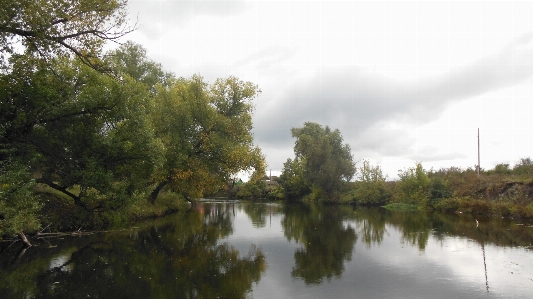 Nature reflection waterway water Photo