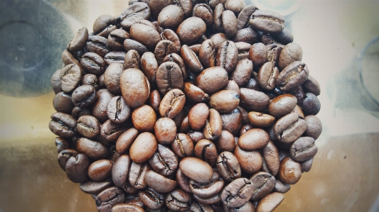 Art cocoa bean jamaican blue mountain coffee Photo