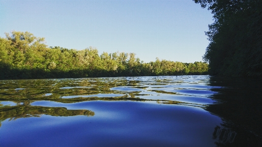 Tree water reflection river Photo