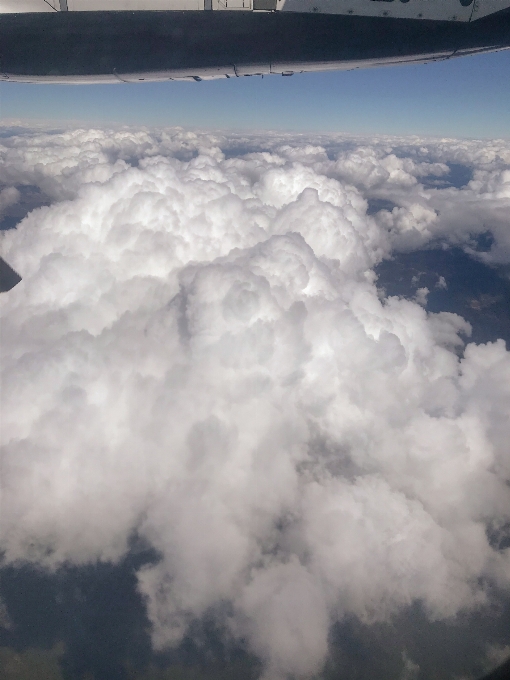 クラウド 空 積雲
 雰囲気